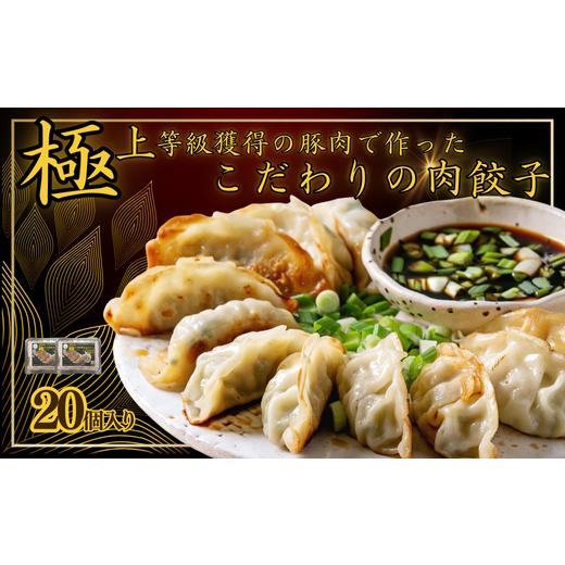 ふるさと納税 餃子 埼玉県 加須市 極上等級獲得の豚肉で作った拘りの肉餃子 希少豚 花咲豚スーパーナイン100%使用 :10個入× 2パック 10個入 2パック