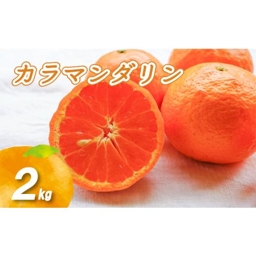 ふるさと納税 果物類 みかん 愛媛県 松山市 2026年4月中旬より発送 カラマンダリン 2kg 2kg ¥6,000