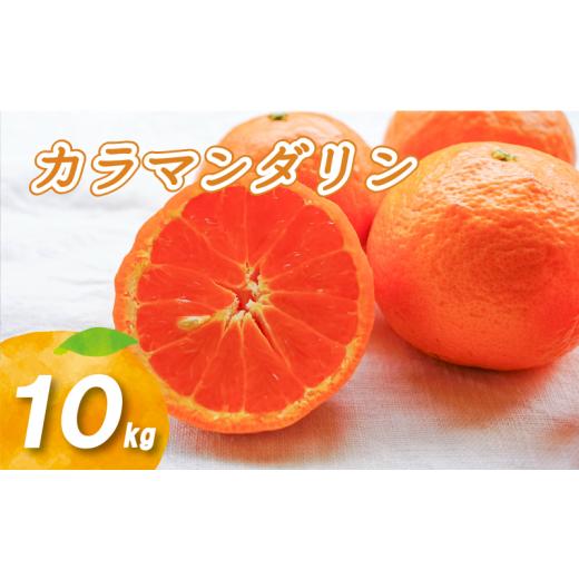 ふるさと納税 果物類 みかん 愛媛県 松山市 2026年4月中旬より発送 カラマンダリン 10kg 10kg ¥18,000