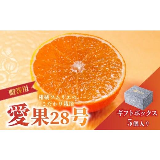 ふるさと納税 みかん・柑橘類 愛媛県 松山市 愛果28号 (紅まどんな と同品種) ギフトボックス Lから2Lサイズ 5玉 贈答用 A品 秀品 2026年11月下旬より順次発送…