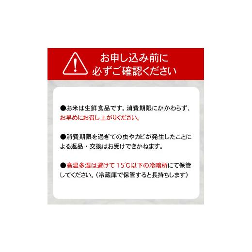ふるさと納税 無洗米 青森県 五所川原市 無洗米 青森県産米セット（青天の霹靂、まっしぐら、はれわたり）　Pebora 2合（300g）×24本_7