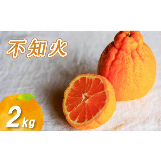 ふるさと納税 果物類 みかん 愛媛県 松山市 2026年3月中旬より発送 不知火 2kg 2kg ¥7,000