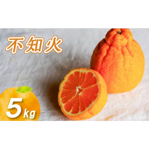 ふるさと納税 果物類 みかん 愛媛県 松山市 2026年3月中旬より発送 不知火 5kg 5kg ¥12,000