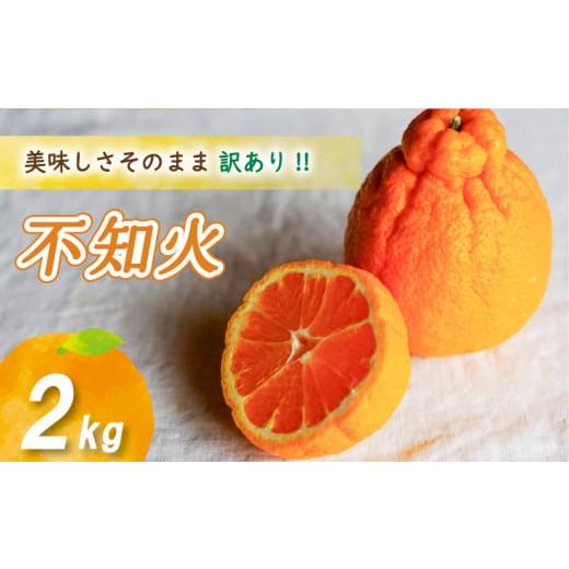 ふるさと納税 果物類 みかん 愛媛県 松山市 2026年4月上旬より発送 訳あり不知火 2kg 2kg ¥5,000