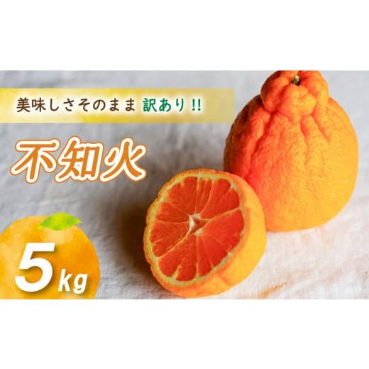 ふるさと納税 果物類 みかん 愛媛県 松山市 2026年4月上旬より発送 訳あり不知火 5kg 5kg ¥9,000