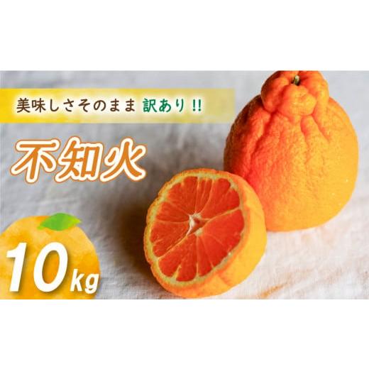 ふるさと納税 果物類 みかん 愛媛県 松山市 2026年4月上旬より発送 訳あり不知火 10kg 訳あり不知火 10kg