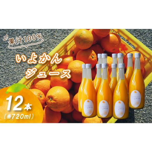 ふるさと納税 果汁飲料 みかん 愛媛県 松山市 2027年3月中旬頃から順次発送 いよかんストレート果汁100%ジュース 720ml×12本 いよかんストレート果汁100%…