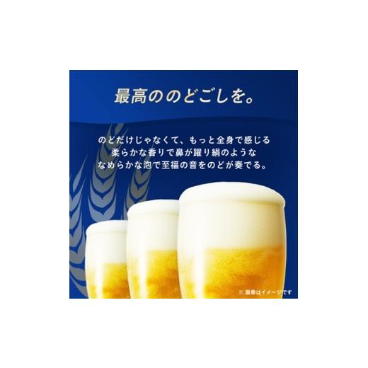 ふるさと納税 ビール 沖縄県 西原町  毎月定期便 オリオンビール オリオン ザ・プレミアム(350ml×24本)全3回 4058706の画像