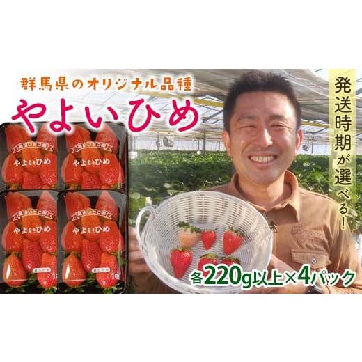ふるさと納税 いちご 群馬県 富岡市 群馬県産いちごセット やよいひめ4パック 2026年3月1日〜5月15日発送 (各220g以上×4パック) いちご やよいひめ 群馬県産 …