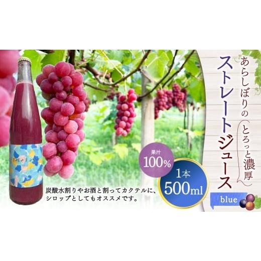 ふるさと納税 果汁飲料 ぶどう 大分県 竹田市 [blue]あらしぼりのとろっと濃厚、ストレートジュース 果汁100% 1本(500ml) blue