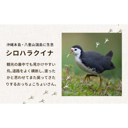 ふるさと納税 瀬戸もの・塗師細工・玻璃 沖縄県 竹富町 光芒光の都市窯 シロハラクイナシリーズ 湯呑（目の前猪口）白