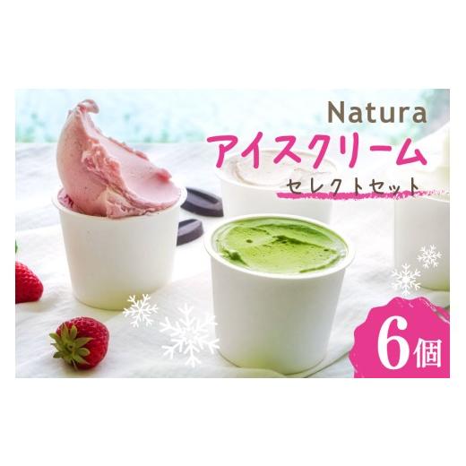 ふるさと納税 菓子 アイス 徳島県 北島町 アイス ナチューラのアイスクリーム セレクト 6個入り ナチューラ 徳島県 北島町 29am0009 アイスクリーム スイーツ …