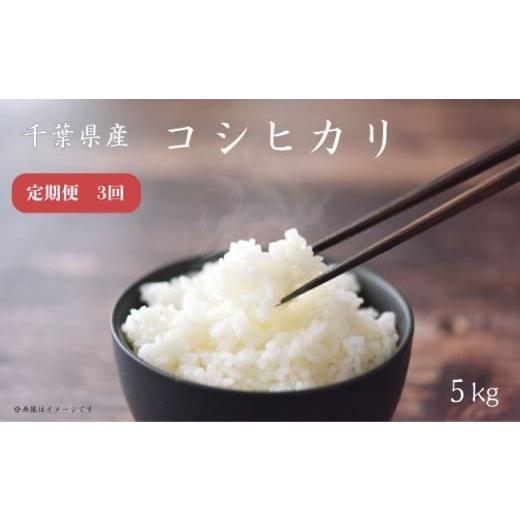 ふるさと納税 米 コシヒカリ 千葉県 匝瑳市 定期便 3回 [ 令和7年産 ]千葉県産 コシヒカリ 5kg / 米 こめ コメ お米 おこめ コシヒカリ こしひかり 令和7…