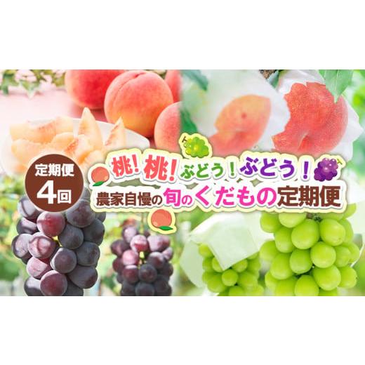 ふるさと納税 もも 山形県 山形市 定期便4回 桃 桃 ぶどう ぶどう 農家自慢の旬のくだもの定期便 令和8年産先行予約 FS24-720 くだもの 果物 フルーツ 山形 …