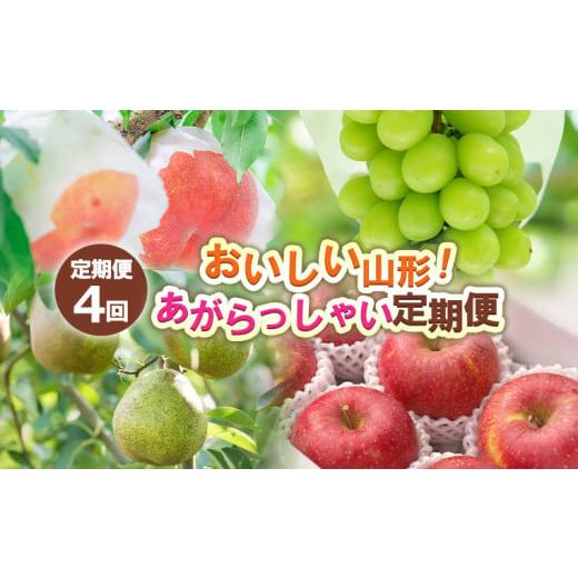 ふるさと納税 もも 山形県 山形市 定期便4回 おいしい山形 あがらっしゃい定期便 令和8年産先行予約 FS24-721 くだもの 果物 フルーツ 山形 山形県 山形市 20…