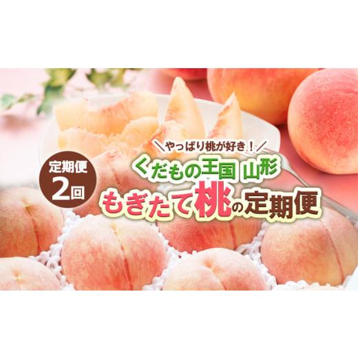 ふるさと納税 もも 山形県 山形市 定期便2回 やっぱり桃が好き くだもの王国山形 もぎたて桃の定期便 令和8年産先行予約 FS24-722 くだもの 果物 フルーツ 山…