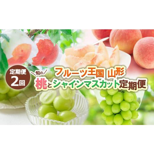 ふるさと納税 もも 山形県 山形市 定期便2回 フルーツ王国山形 旬の桃とシャインマスカット定期便 令和8年産先行予約 FS24-723 くだもの 果物 フルーツ 山形 …