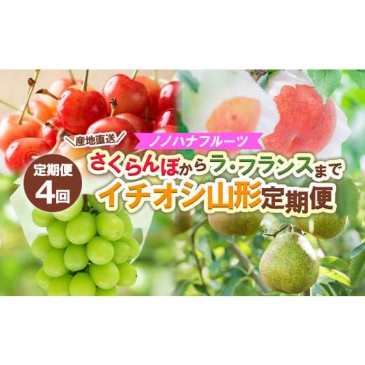ふるさと納税 果物類 さくらんぼ 山形県 山形市 定期便4回 ノノハナフルーツ さくらんぼからラ・フランスまで 産地直送 イチオシ山形定期便 令和8年産先行予…