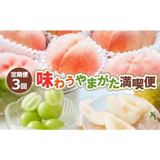 ふるさと納税 もも 山形県 山形市 定期便3回 味わうやまがた 満喫便 令和8年産先行予約 FS24-726 くだもの 果物 フルーツ 山形 山形県 山形市 2026年産