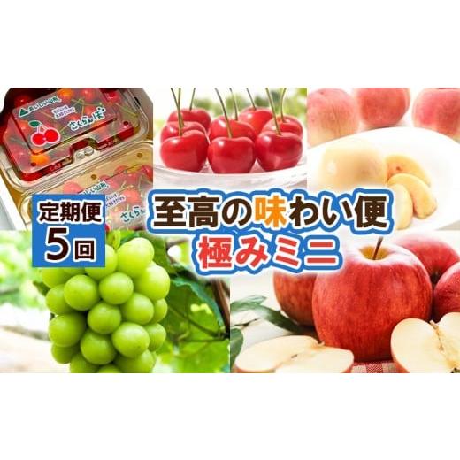 ふるさと納税 果物類 さくらんぼ 山形県 山形市 定期便5回 至高の味わい便 極みミニ 令和8年産先行予約 FS25-618 くだもの 果物 フルーツ 山形 山形県 山形市…
