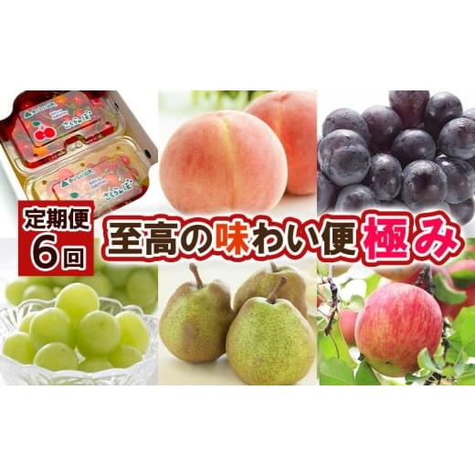 ふるさと納税 果物類 さくらんぼ 山形県 山形市 定期便6回 至高の味わい便 極み 令和8年産先行予約 FS25-617 くだもの 果物 フルーツ 山形 山形県 山形市 202…