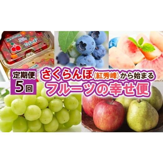 ふるさと納税 果物類 さくらんぼ 山形県 山形市 定期便5回 さくらんぼ(紅秀峰)から始まるフルーツの幸せ便 令和8年産先行予約 FS25-626 くだもの 果物 フルー…
