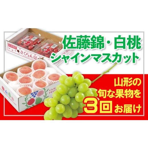 ふるさと納税 果物類 さくらんぼ 山形県 山形市 定期便3回 フルーツ王国山形 佐藤錦・白桃・シャインマスカット 令和8年産先行予約 FS25-673 くだもの 果物 …