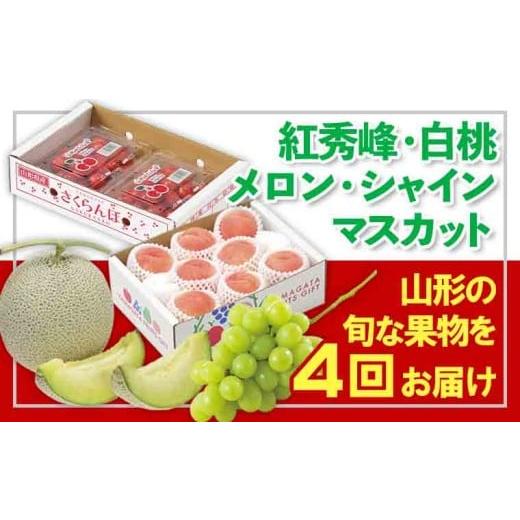 ふるさと納税 果物類 さくらんぼ 山形県 山形市 定期便4回 フルーツ王国山形 佐藤錦・白桃・シャインマスカット・ラフランス 令和8年産先行予約 FS25-675 く…
