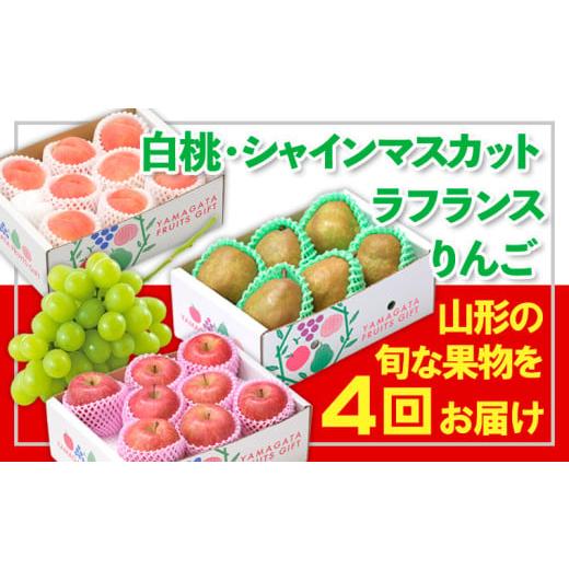 ふるさと納税 もも 山形県 山形市 定期便4回 フルーツ王国山形 白桃・シャインマスカット・ラフランス・りんご 令和8年産先行予約 FS24-773 くだもの 果物 フ…