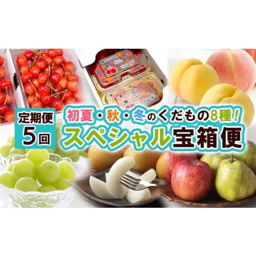 ふるさと納税 果物類 さくらんぼ 山形県 山形市 定期便5回 スペシャル宝箱便 令和8年産先行予約 FS25-616 くだもの 果物 フルーツ 山形 山形県 山形市 2026年…