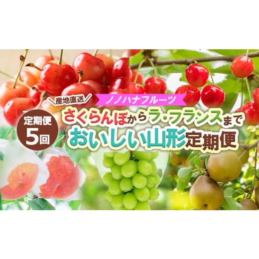 ふるさと納税 果物類 さくらんぼ 山形県 山形市 定期便5回 ノノハナフルーツさくらんぼからラ・フランスまで 産地直送 おいしい山形定期便 令和8年産先行予約…