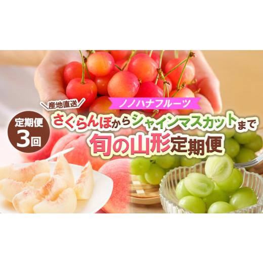 ふるさと納税 果物類 さくらんぼ 山形県 山形市 定期便3回 ノノハナフルーツ さくらんぼからシャインマスカットまで 産地直送 旬の山形定期便 令和8年産先行…