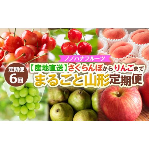 ふるさと納税 果物類 さくらんぼ 山形県 山形市 定期便6回 ノノハナフルーツ さくらんぼからりんごまで 産地直送 まるごと山形定期便 令和8年産先行予約 FS24…