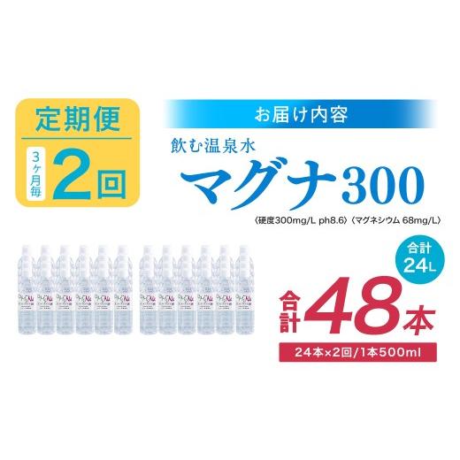 ふるさと納税 水・ミネラルウォーター 500mL〜999mL 大分県 竹田市  3ヶ月毎2回定期便 硬水ミネラルウォーターマグナ300 500ml 計48本 （24本×2回） 水 飲料 …_2
