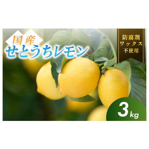ふるさと納税 みかん・柑橘類 レモン 愛媛県 今治市 先行予約 有機 せとうちレモン 今治産 3kg K002330KG3 ワックス不使用 防腐剤不使用 国産 愛媛 瀬戸内レ…