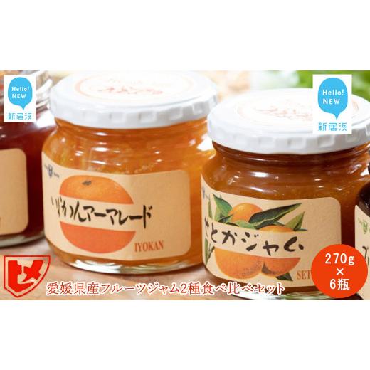 ふるさと納税 ジャム オレンジ 愛媛県 新居浜市 訳あり 愛媛県産フルーツジャム(せとか・伊予柑)2種食べ比べセット(270g×6瓶) みきゃんの列車箱入り フル…