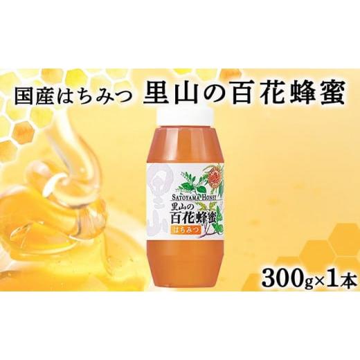 ふるさと納税 加工品等 はちみつ 岡山県 鏡野町 山田養蜂場 里山の百花蜂蜜300g(プラ容器入)×1本 (3643) 006-a064 300g×1本