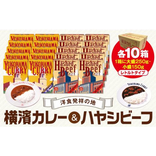 ふるさと納税 加工品等 レトルト 神奈川県 横浜市 洋食発祥の地 横濱カレー＆ハヤシビーフセット各10箱（1箱に大盛250g・小盛150g）の画像