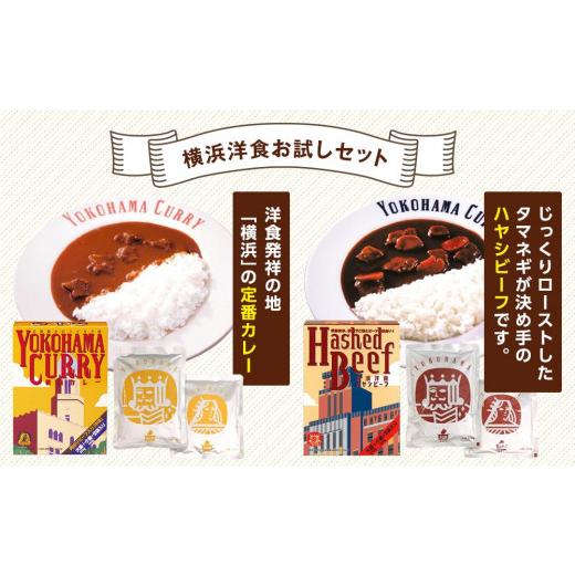 ふるさと納税 加工品等 レトルト 神奈川県 横浜市 洋食発祥の地 横濱カレー＆ハヤシビーフセット各10箱（1箱に大盛250g・小盛150g）の画像