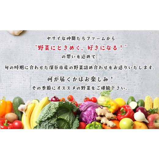ふるさと納税 セット・詰合せ 埼玉県 深谷市 季節のカラフルなヤサイBOX（8〜10種類）  11218-0770の画像