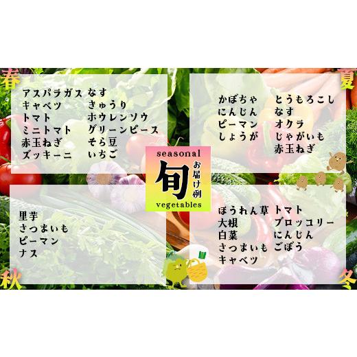 ふるさと納税 セット・詰合せ 埼玉県 深谷市 季節のカラフルなヤサイBOX（8〜10種類）  11218-0770の画像