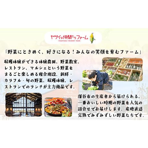 ふるさと納税 セット・詰合せ 埼玉県 深谷市 季節のカラフルなヤサイBOX（8〜10種類）  11218-0770の画像
