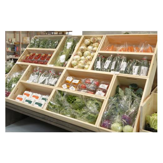 ふるさと納税 セット・詰合せ 埼玉県 深谷市 季節のカラフルなヤサイBOX（8〜10種類）  11218-0770の画像