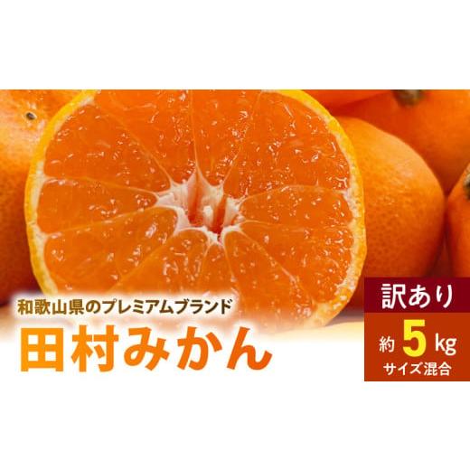 ふるさと納税 果物類 みかん 和歌山県 湯浅町 AB7301_有田みかん ご家庭用 田村みかん サイズ混合 約5kg _ 有田みかん わけあり 訳あり 和歌山プレミアムブラ…