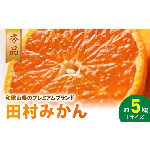 ふるさと納税 果物類 みかん 和歌山県 湯浅町 AB7305_ プレミアムブランド 田村みかん Lサイズ 秀品 約5kg 和歌山県産 蜜柑 ミカン フルーツ 果物 ギフト お歳…