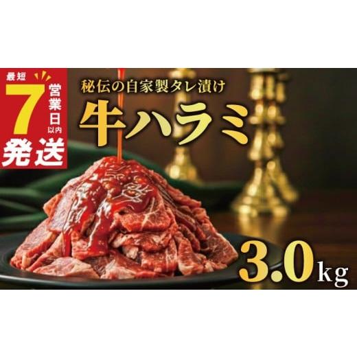 ふるさと納税 牛肉 奈良県 奈良市 牛ハラミ タレ漬け 3kg 特選 タレ漬け牛ハラミ 秘伝タレ 味付き牛 小分け 厚切り 牛肉 お肉 肉 にく 牛ハラミ 味付き 焼くだ…