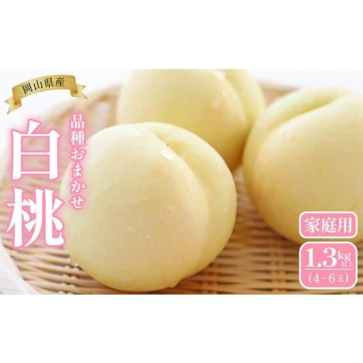 ふるさと納税 もも 岡山県 岡山市 桃 2026年 岡山県産 家庭用 白桃 1.3kg以上(4〜6玉) 品種おまかせ 6月下旬以降発送