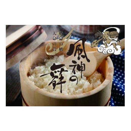 ふるさと納税 米 コシヒカリ 新潟県 阿賀野市 令和7年産 5回定期便 阿賀野市産コシヒカリ「風神の舞」5kg(5kg×1袋) 安田興和農事 白米 精米 1W09071