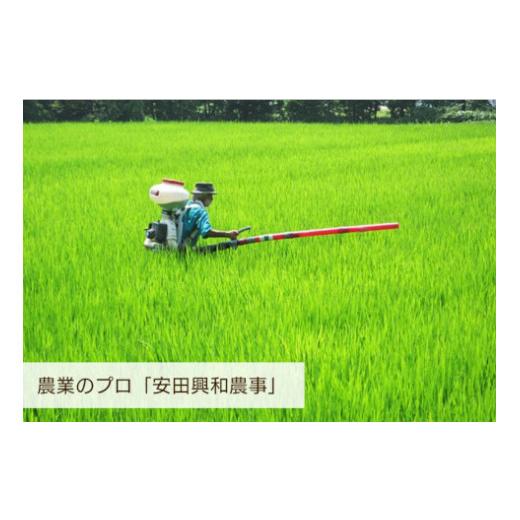 ふるさと納税 米 コシヒカリ 新潟県 阿賀野市 令和7年産 5回定期便 阿賀野市産コシヒカリ「風神の舞」5kg（5kg×1袋） 安田興和農事 白米 精米 新潟県 米 こ…_3