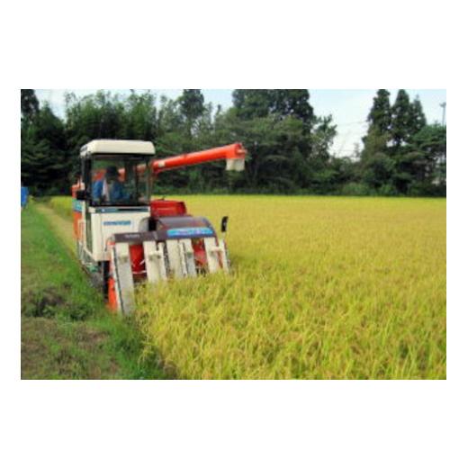 ふるさと納税 米 コシヒカリ 新潟県 阿賀野市 令和7年産 5回定期便 阿賀野市産コシヒカリ「風神の舞」5kg（5kg×1袋） 安田興和農事 白米 精米 新潟県 米 こ…_4